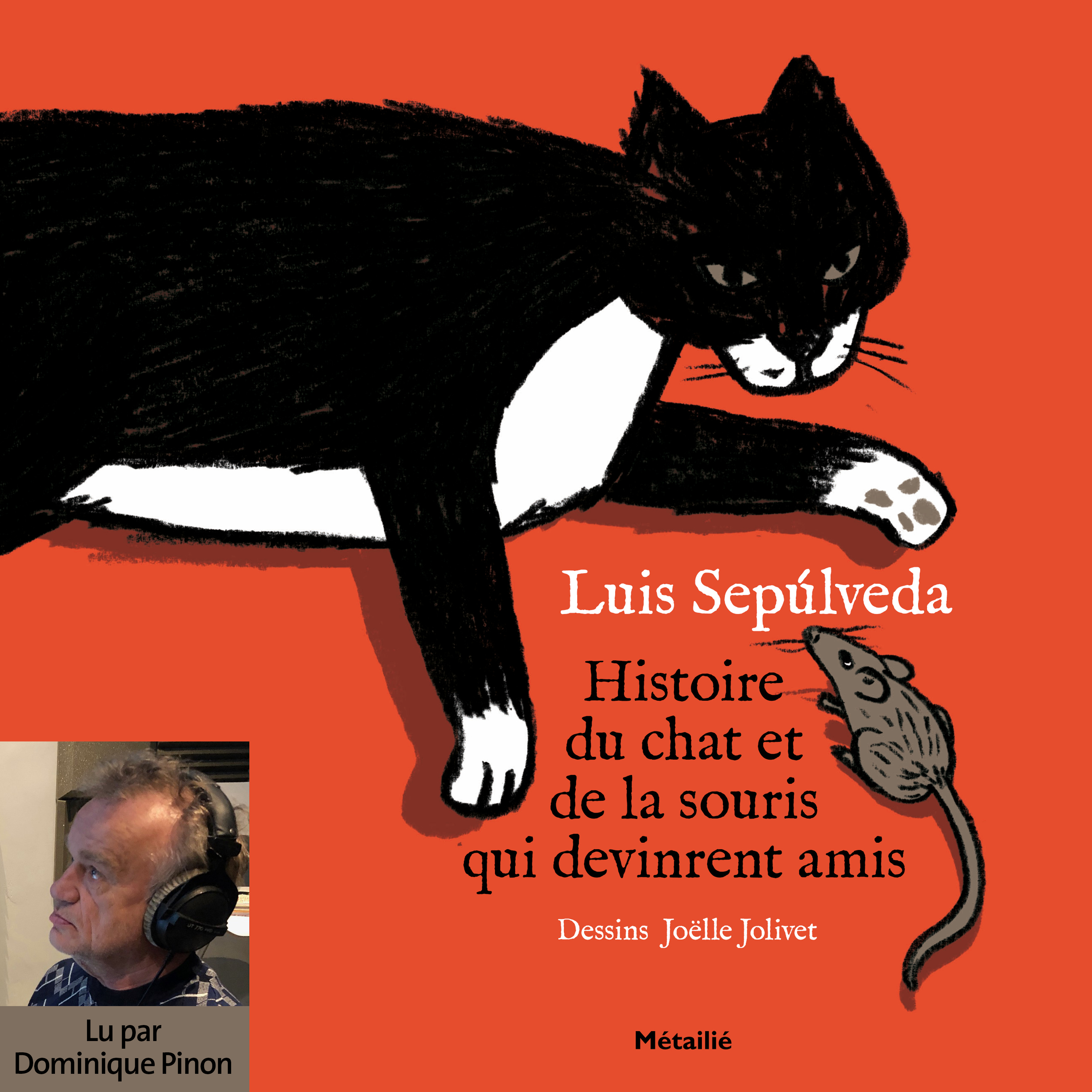 Histoire Du Chat Et De La Souris Qui Devinrent Amis Editions Metailie